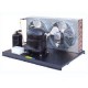 NEK6217GK HP 3/4 - valvola - 2 motoventilatori R404A HBP 220V (TN)